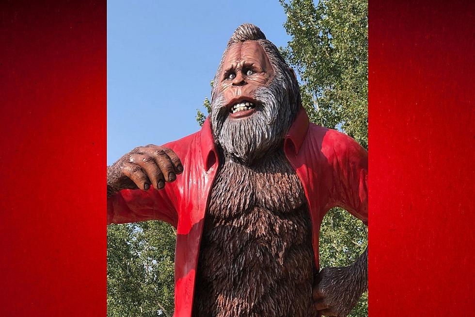 Help Scheels Name the Sasquatch That’ll Greet You at the Door