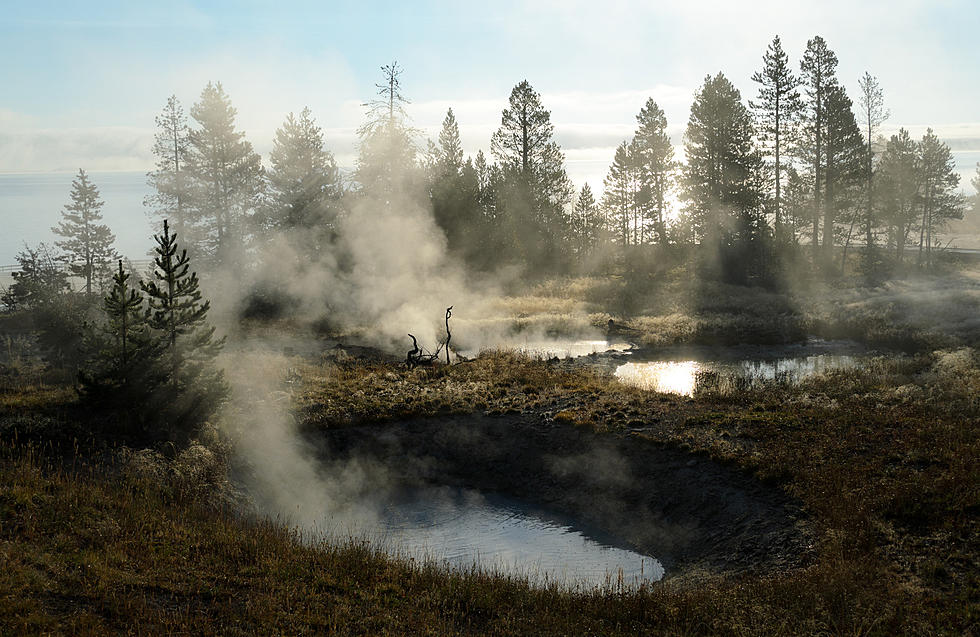 Yellowstone National Park Crushes One-Month Visitation Record