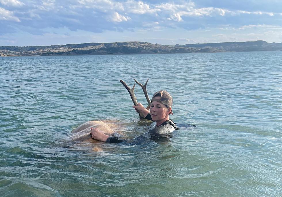 Determined and Intense Montana Bowhunter Goes Bobbing for Her Elk
