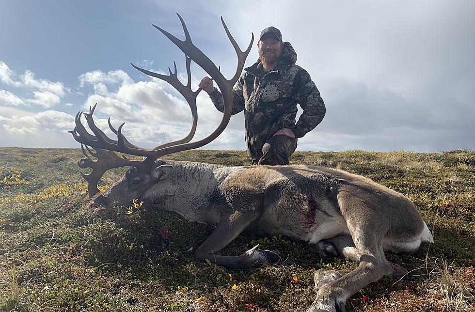 Montana Hunting is Impressive, But So is Hunting in Alaska