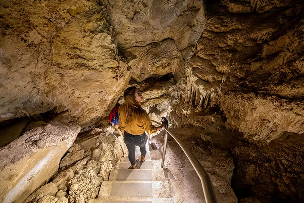 Tour Pass Updates, Snake and Bat Talks for Lewis & Clark Caverns