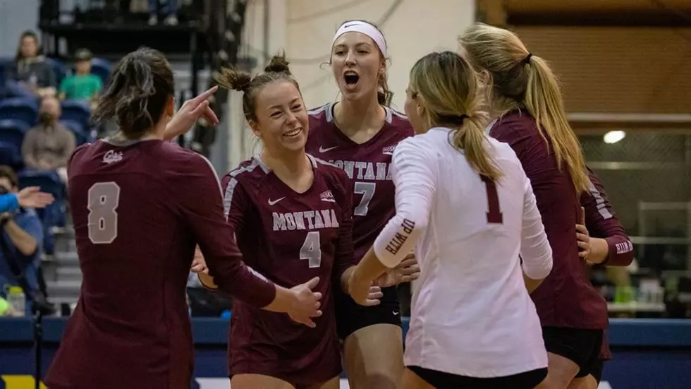 Montana Griz Volleyball Now Serving Awesome Season Ticket Savings