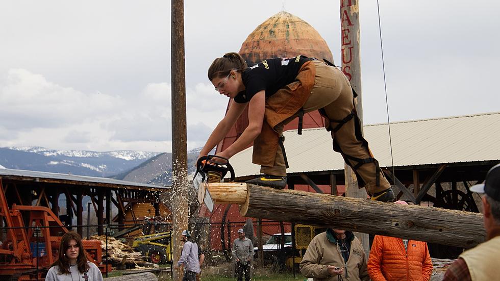 Timber! Popular Forestry Day Returning to Fort Missoula