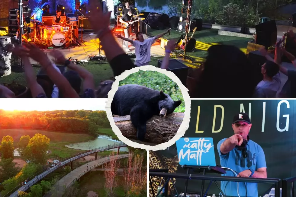 Bears, Beverages and No Kids Allowed at Minnesota Zoo’s Popular ‘Wild Nights’