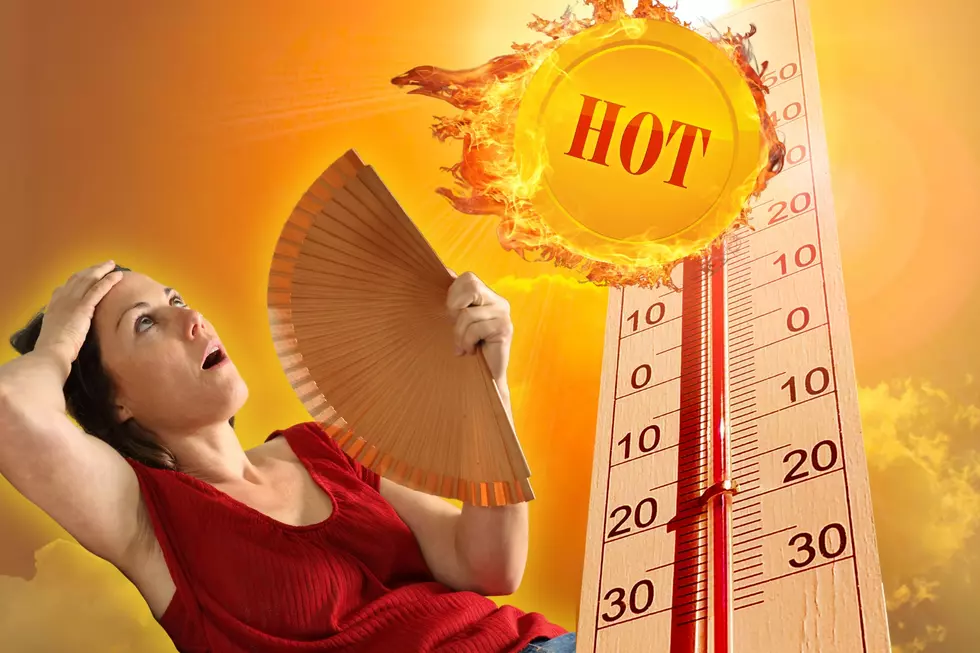 Scorching Trends: Will Minnesota's Summer Be Hot or the Hottest?