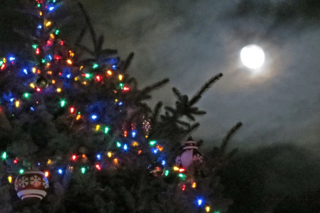 Full Moon and Hamilton Christmas Tree
