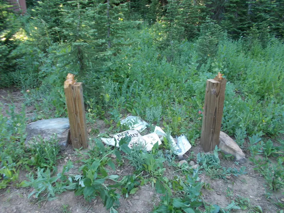 Vandalism Discovered on Nez Perce-Clearwater Forest