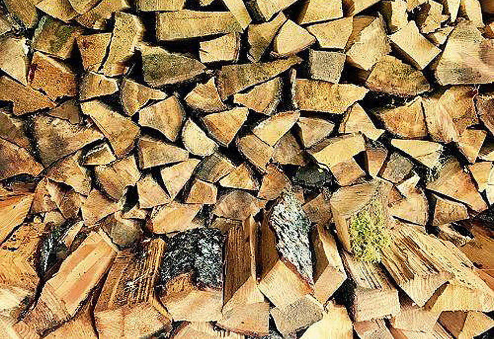 Running Out of Firewood This Spring? Get A Permit