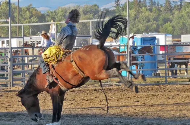 Ravalli County Fair Brings Ranch Rodeo and Bull Riding