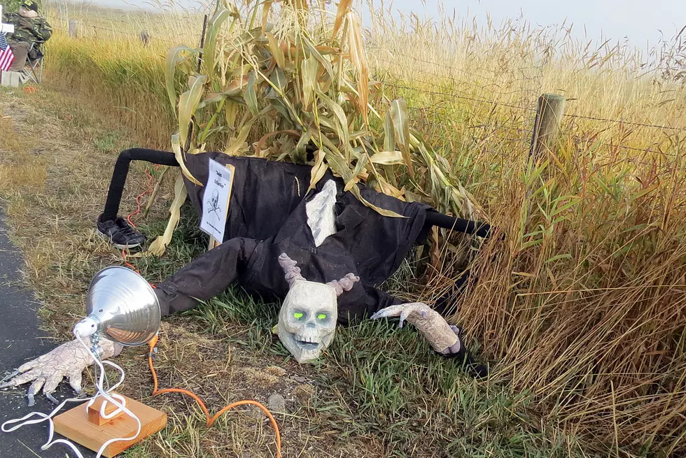 Record Number of Scarecrows Expected in Stevi