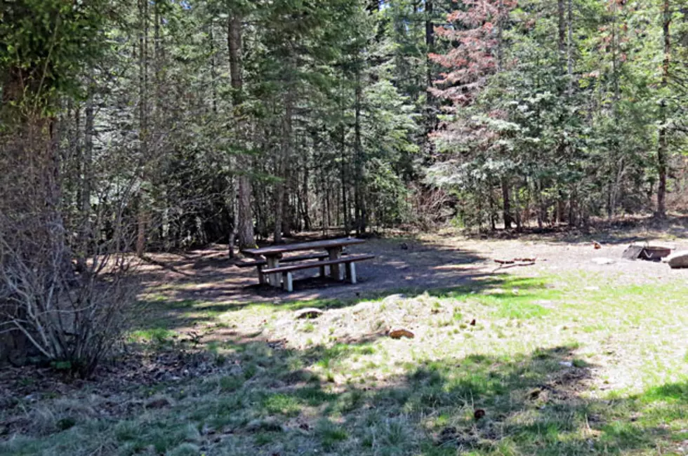 Bitterroot National Forest to Open Campgrounds