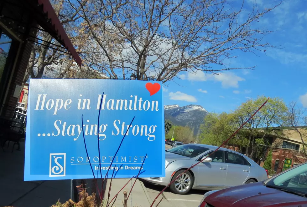 Hamilton Support Signs Appear