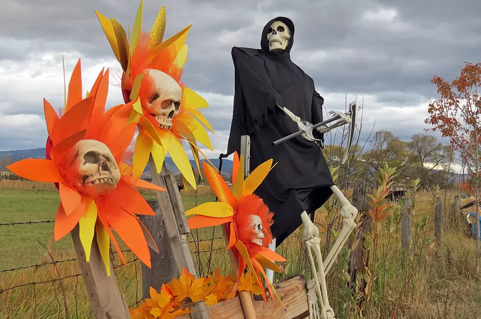 Stevensville’s Scarecrows Rule the Road