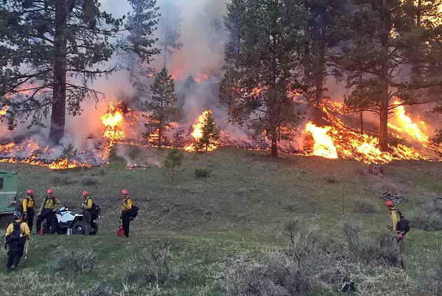 Bitterroot National Forest Plans Spring Burning