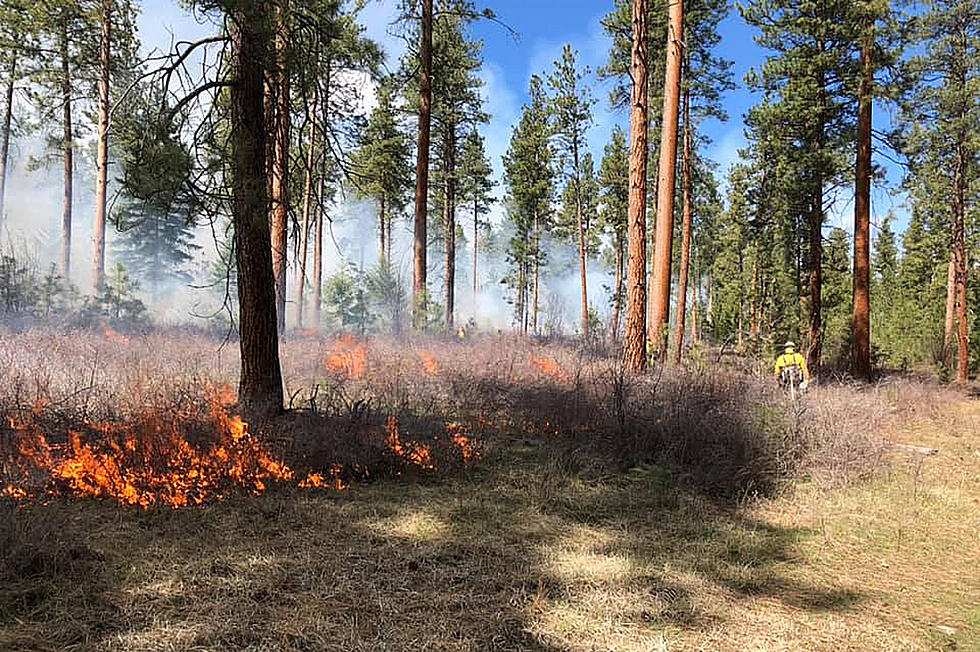 Forest Service Prescribed Burn At Bass Creek Completed
