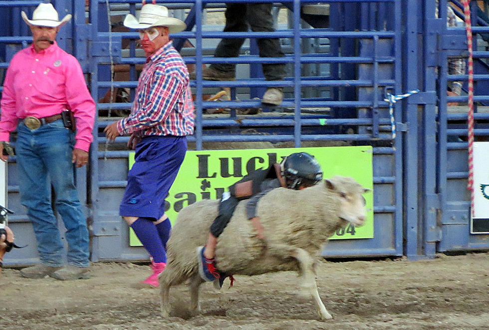 Rodeos Were Top Events At Ravalli County Fair