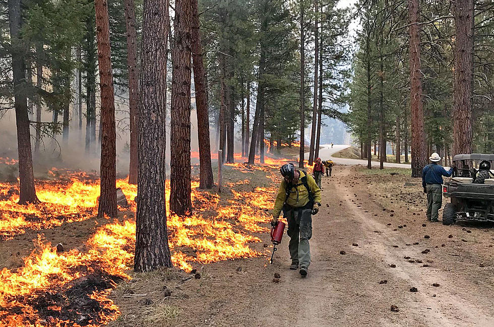 Bitterroot Forest Ignites Fires