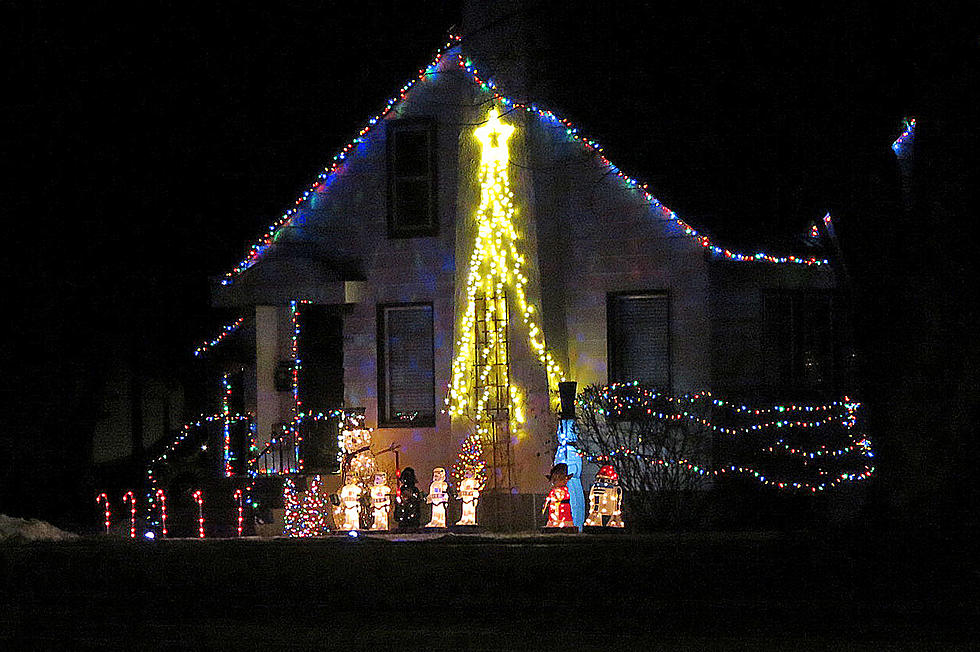 Colorful Christmas Lights in Hamilton