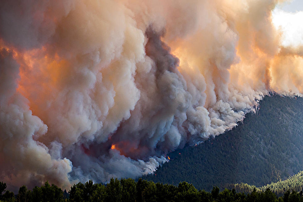 Devastating Fires Cause Massive US Forest Service Response