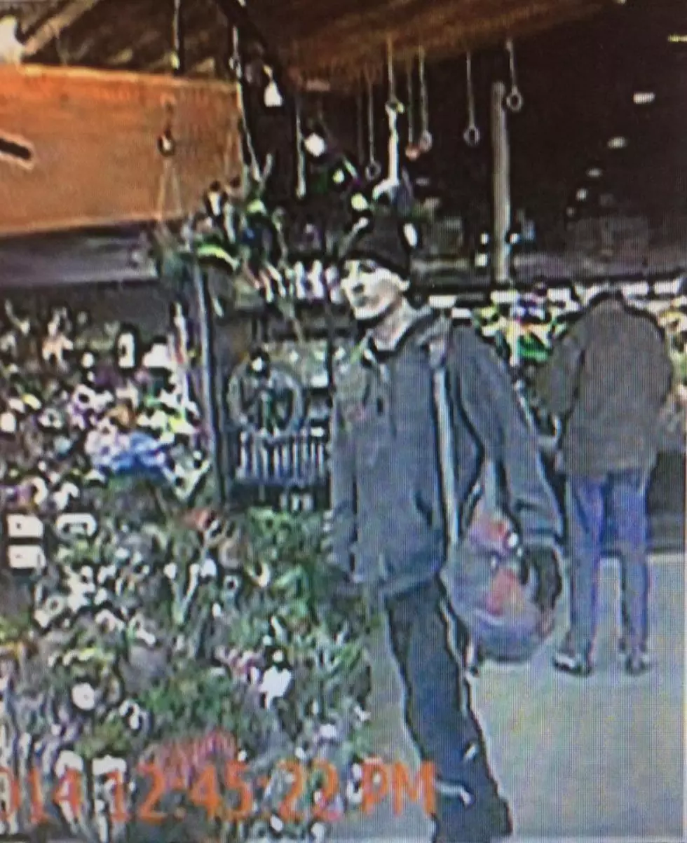 "Grazing" Thieves Identified, 3rd Person Wanted for Theft