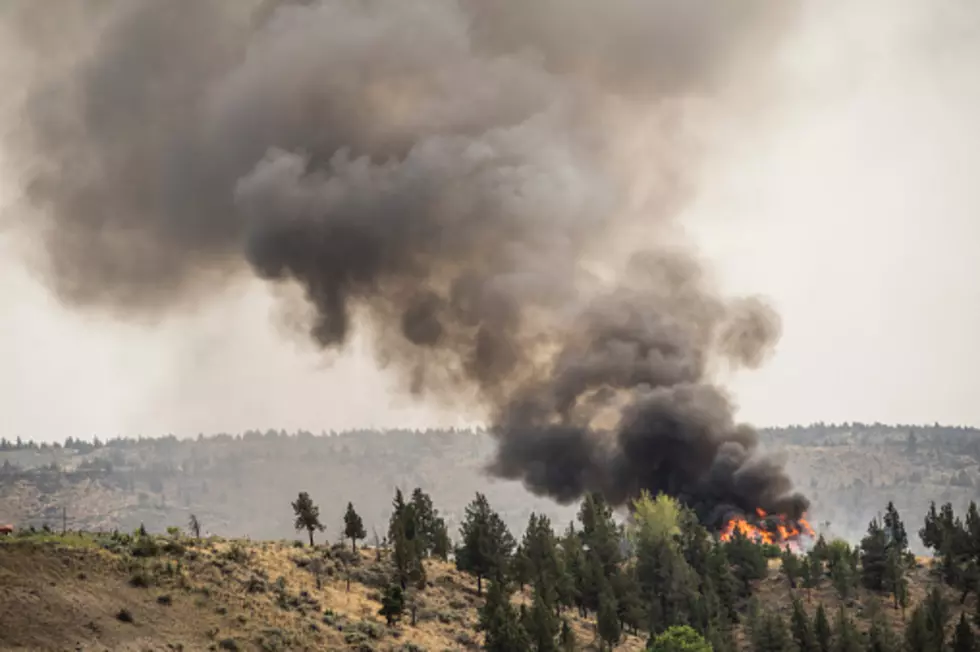 New Five Acre Fire in Frog Pond Basin, No Structures Harmed