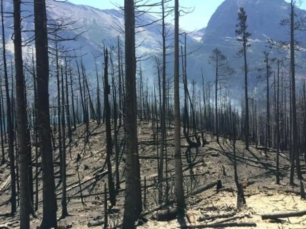Fire in Glacier National Park 67 Percent Contained