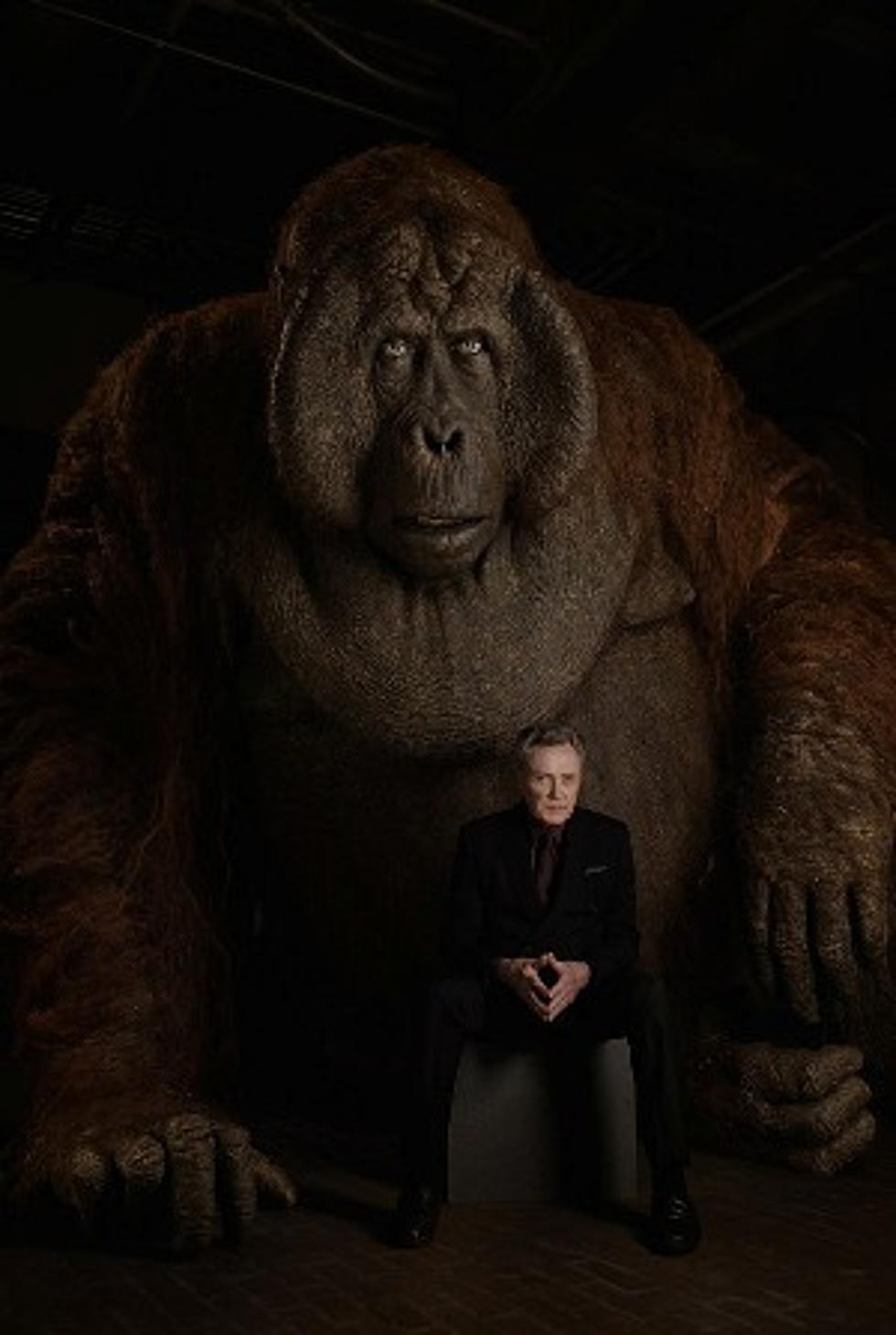 ‘Jungle Book’ Easter Egg Ties Saturday Night Live Sketch To ‘King Louie’ Played By Christopher Walken