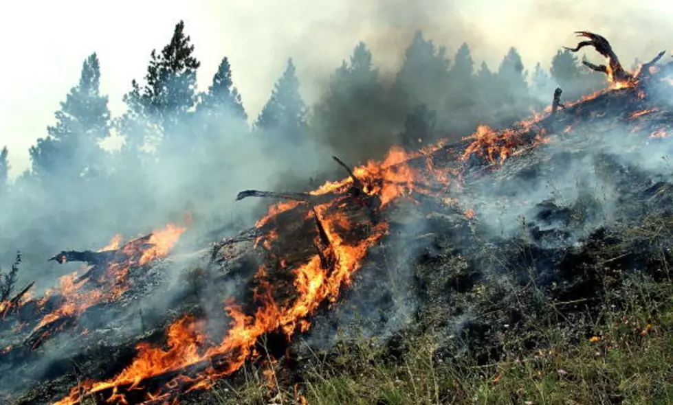 Prescribed Burning Planned For Area District Forests