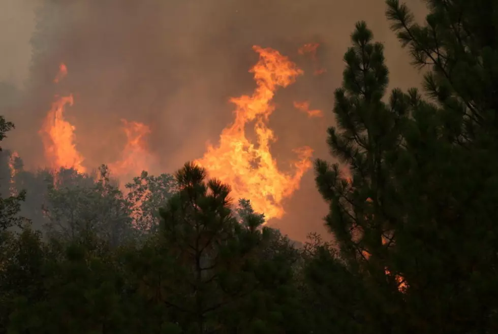 Montana Wildfire Danger Moderate – State Headlines