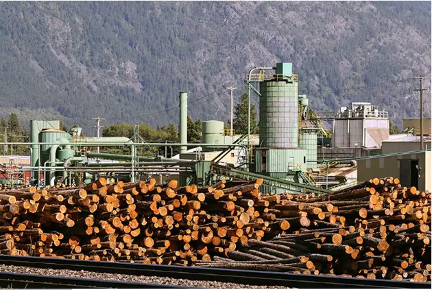 Montana Forester Gives Trump Admin &#8216;Kudos&#8217; After Tariff Hits Canada Lumber Mills