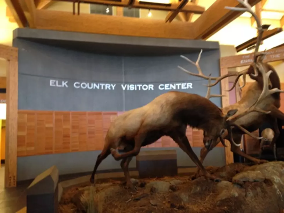 Rocky Mountain Elk Foundation Tops One Million Acres in Public Access Projects