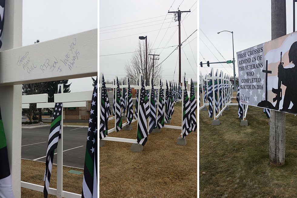 Green Striped Flags Reveal Missoula’s High Veteran Suicide Rate