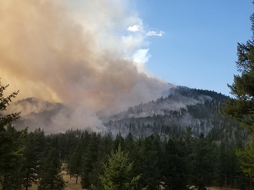 Find Out How to Get Wildfire Smoke Out of Your Breathing Space
