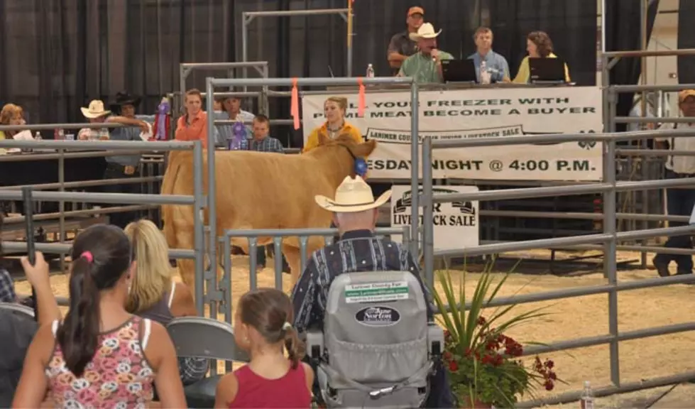 A Virtual Fair but the 4-H and FFA Sale will Go On for Saturday