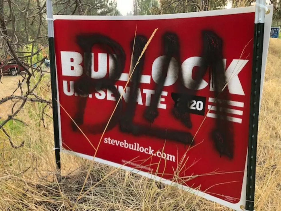 Democratic Campaign Signs Vandalized with Letters 'BLM'