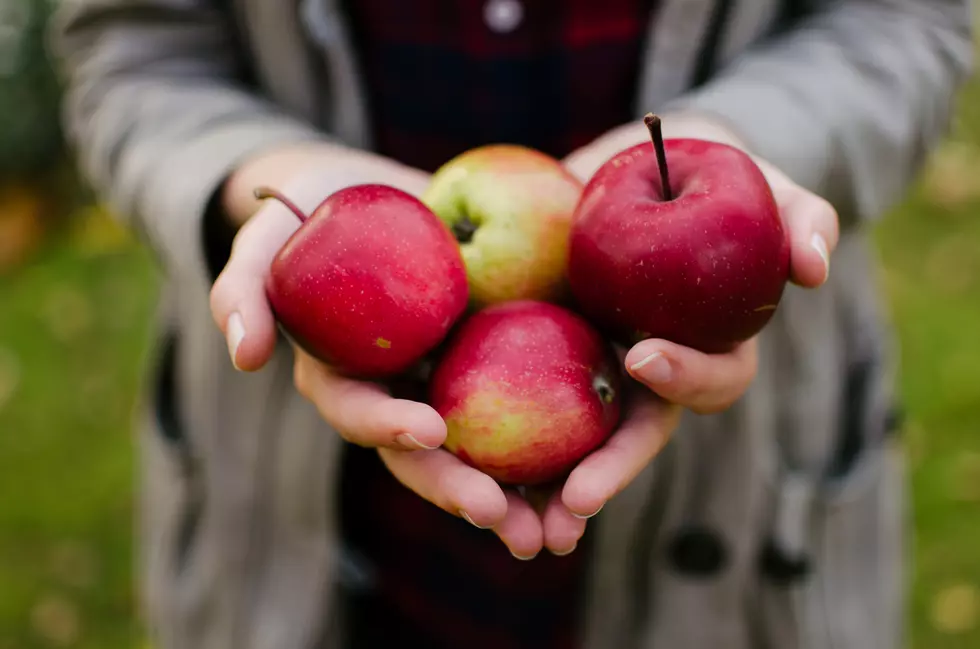 3,000 Pounds of Fresh Apples Coming to Montana Food Bank Network