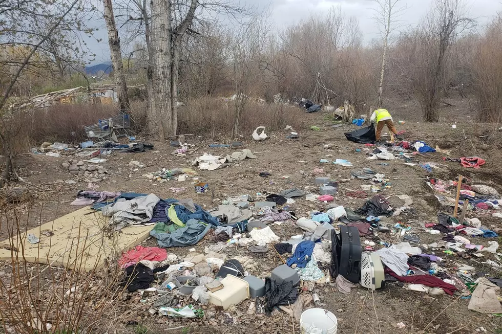 Reserve Street Cleanup: Are Campers Moving Back In?