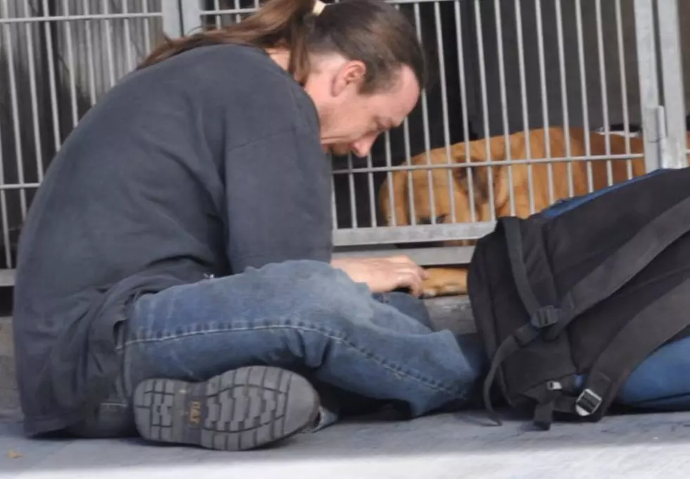 Man Threatens To Sue Shelter Worker Who Helped Get His Dog Out Of The Pound