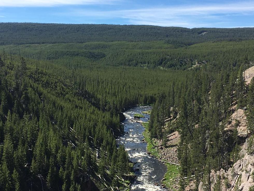 Montana Will Defend Law in Mining Dispute Near Yellowstone