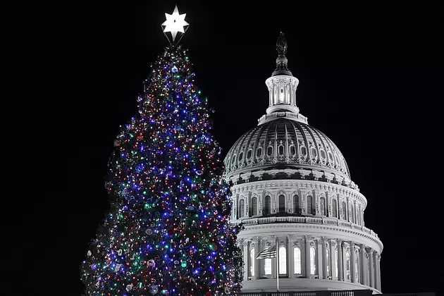 Montana Tree Is On Its Way To US Capitol In Washington DC