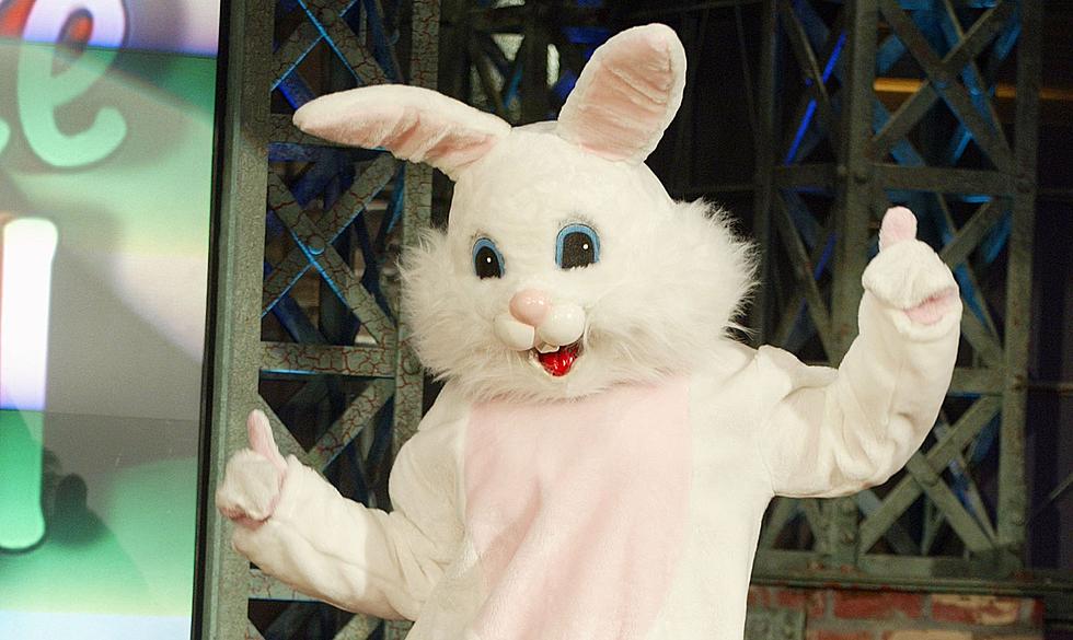 Take Pictures With The Easter Bunny This Weekend