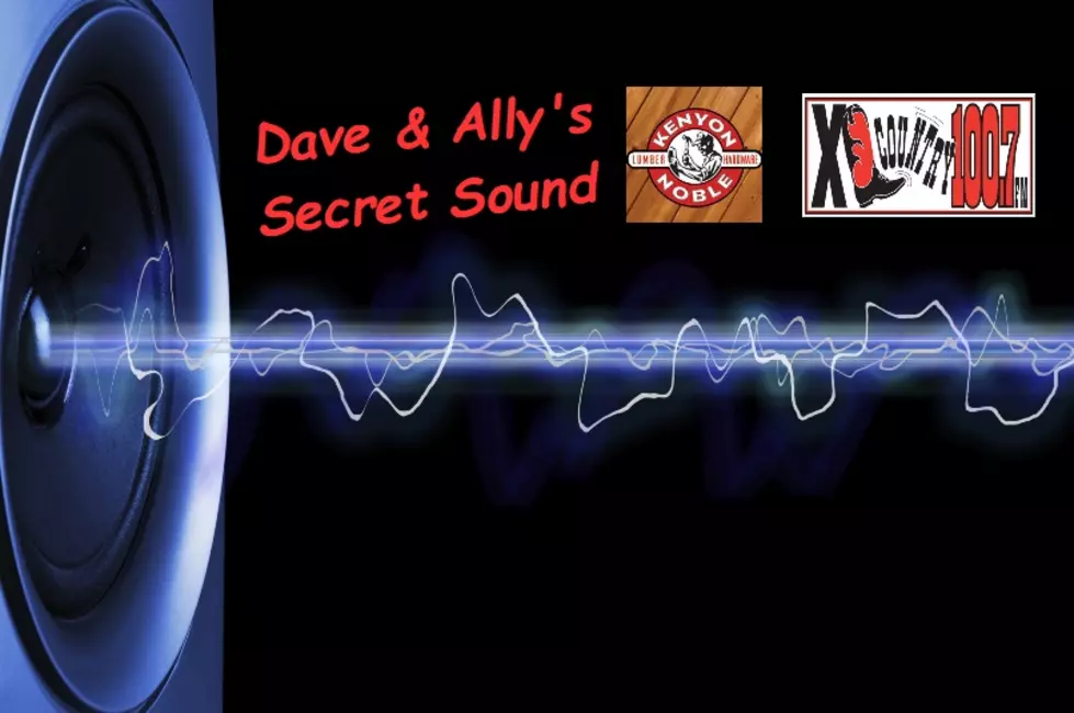Dave & Ally's Secret Sound Has Reached $1,100!