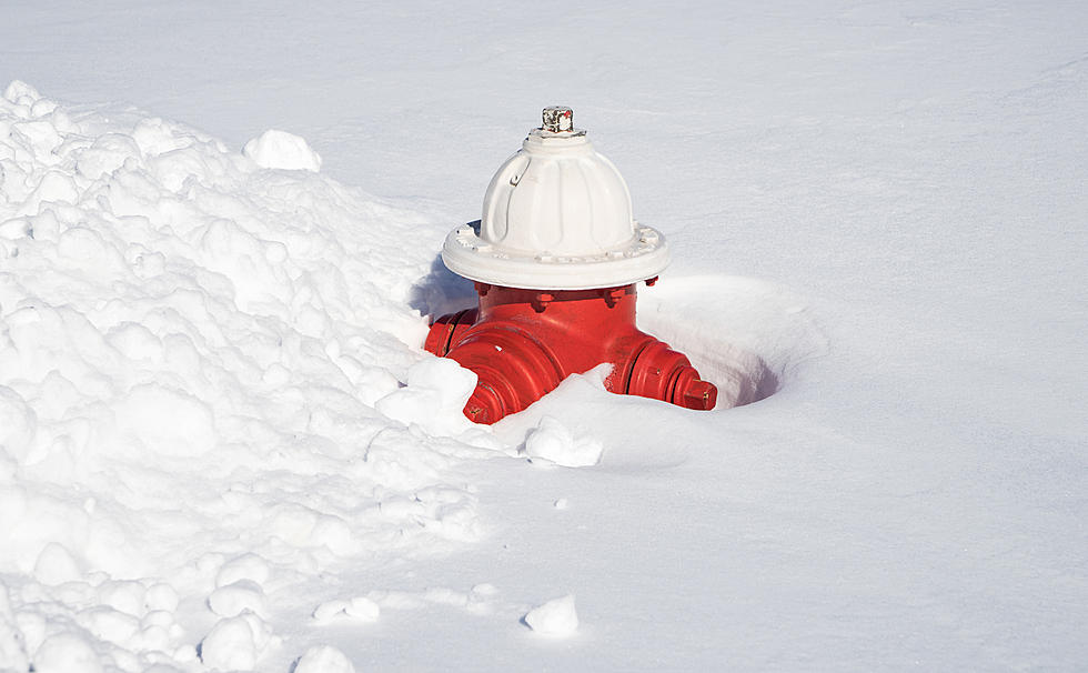 Don't Just Shovel Your Sidewalk: Uncover These Things Too