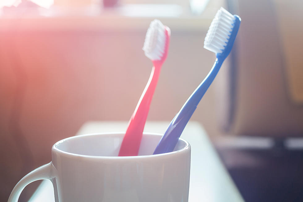 Things I Learned Today About Toothbrushes on the XL Morning Show