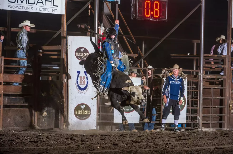 It's Bozeman Stampede Time! Here's What You Need to Know