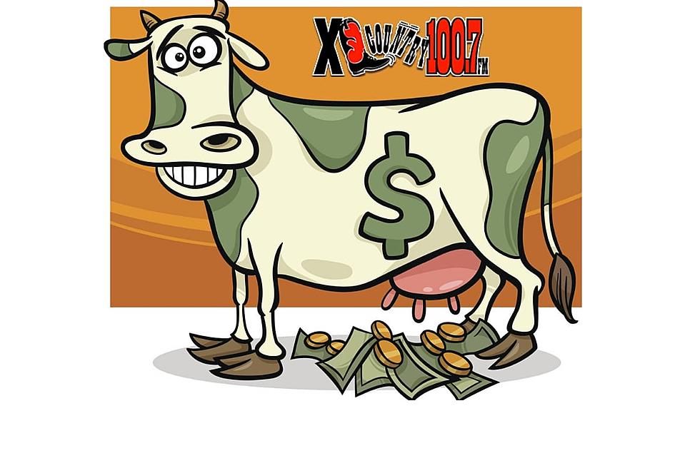 You Can Win $10,000 Thanks to the XL Country Cash Cow