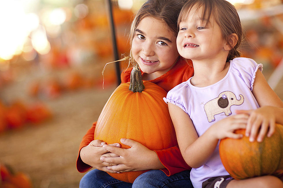 Madison River Ranch to Host Pumpkin Patch