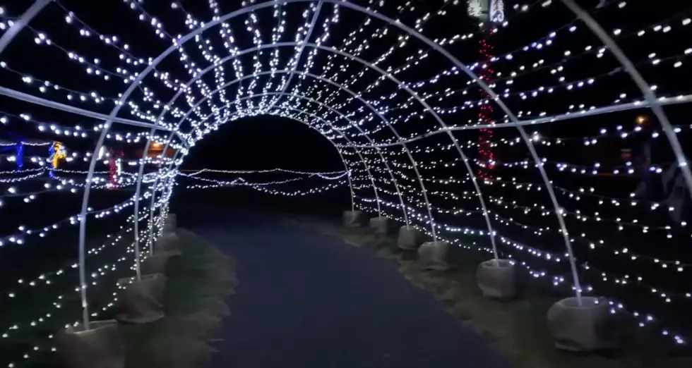 Belgrade Shines in December at Holiday Light Park