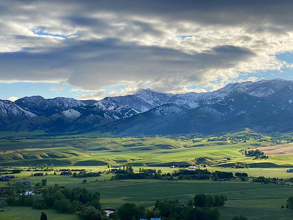 The Higher The Better In Bozeman. Check This Out