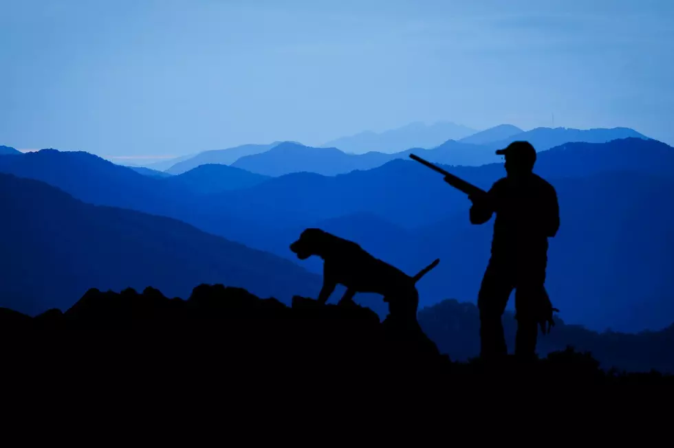 How Great Is Hunting In Montana? See How We Rank And Who We Beat